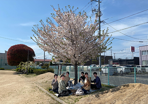 お花見ランチ♪