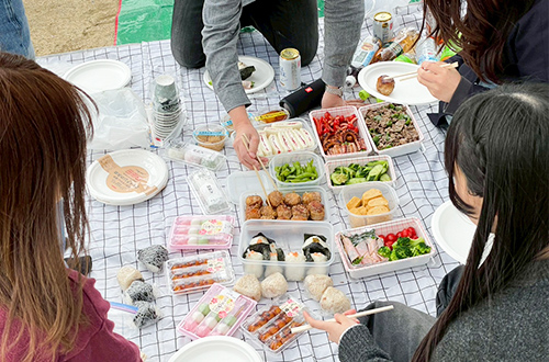 毎年恒例、お花見です🌸🌸